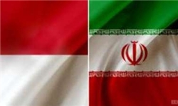 خبرگزاری فارس: حمایت ایران از بازگشت اندونزی به اوپک/ تکذیب وجود دکل گم شده دوم