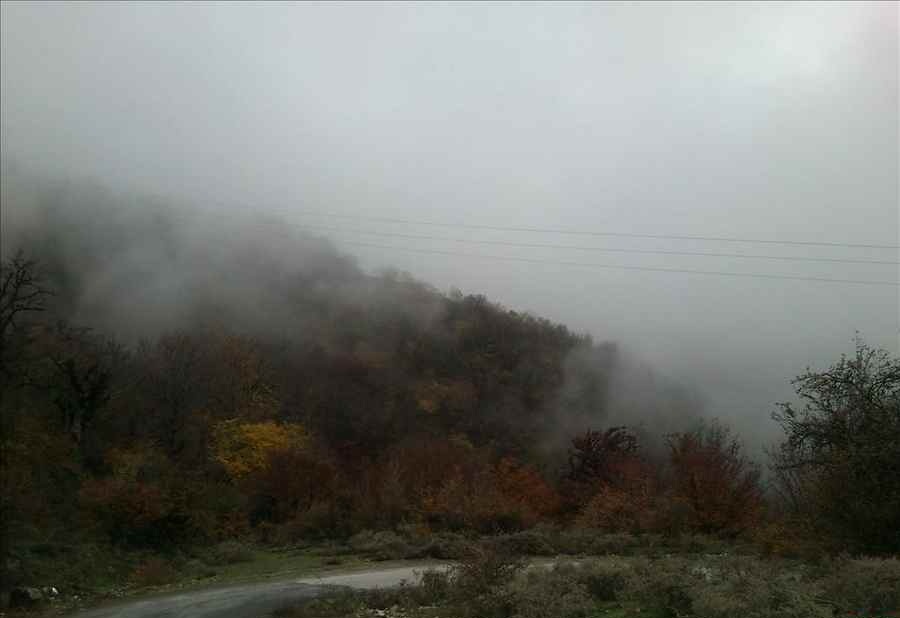 الیمستان، جنگلی رویایی در مازندران (+عکس)