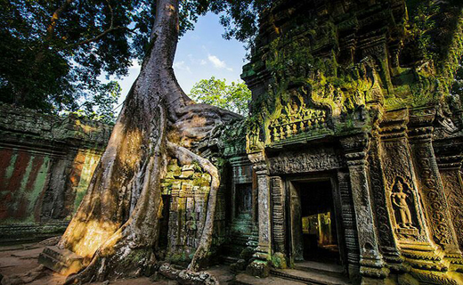 تصاویری منحصر به فرد از معبد بکر در کامبوج+ تصاویر