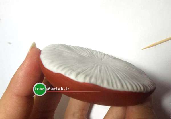آموزش ساخت قارچ تزیینی قارچ زیبا عکس قارچ