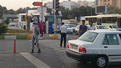 این گور خر در شیراز آموزش ترافیک میدهد ! + عکس