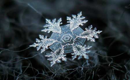 تصاویر شگفت انگیز از دانه های برف